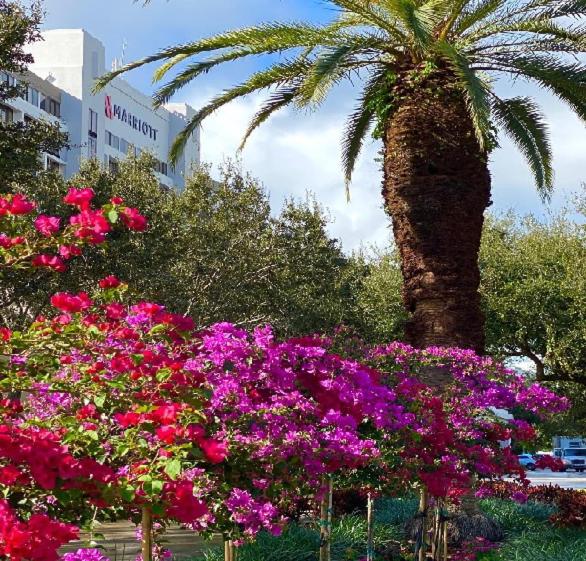 Palm Beach Gardens Marriott - main image