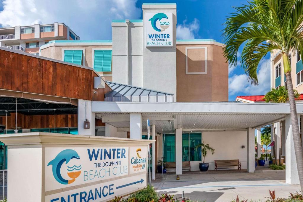 Winter the Dolphins Beach Club Ascend Hotel Collection - image 3