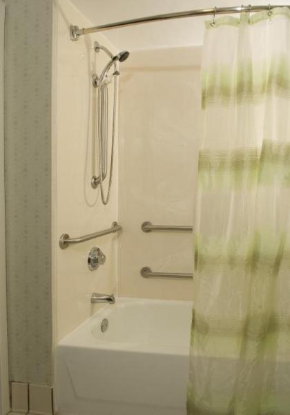 SpringHill Suites by Marriott Orlando Convention Center - image 3