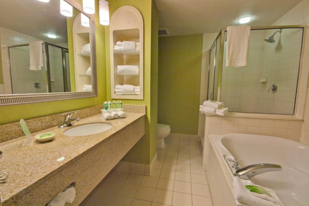 Holiday Inn Express and Suites Tampa I-75 at Bruce B. Downs an IHG Hotel - image 3