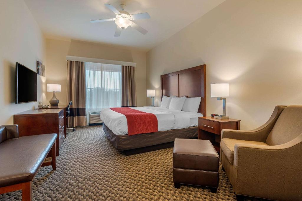 Comfort Inn & Suites Fort Myers Airport - image 5