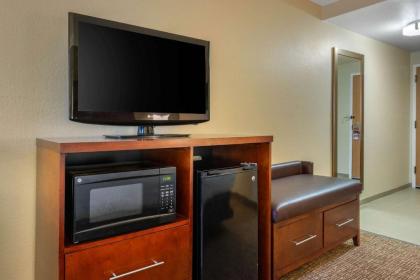 Comfort Inn Ocala Silver Springs - image 3