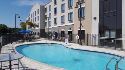 Holiday Inn Express Hotel & Suites Tampa-USF-Busch Gardens an IHG Hotel - image 3