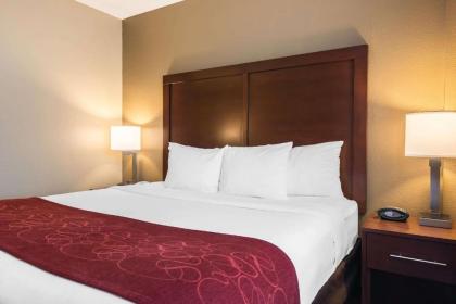 Comfort Suites Tampa Airport North - image 2