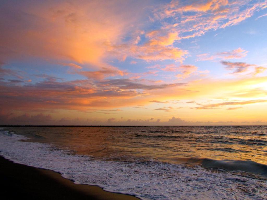 Royal Inn Beach Hutchinson Island - image 3