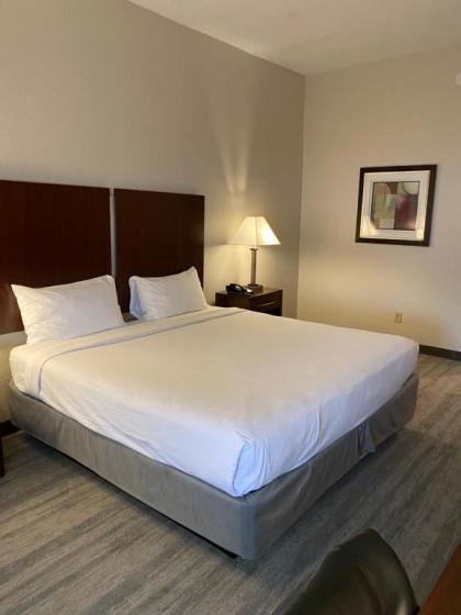 Best Western Tampa - image 4