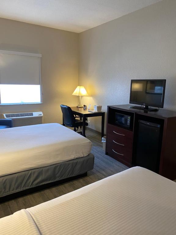 Best Western Tampa - image 5