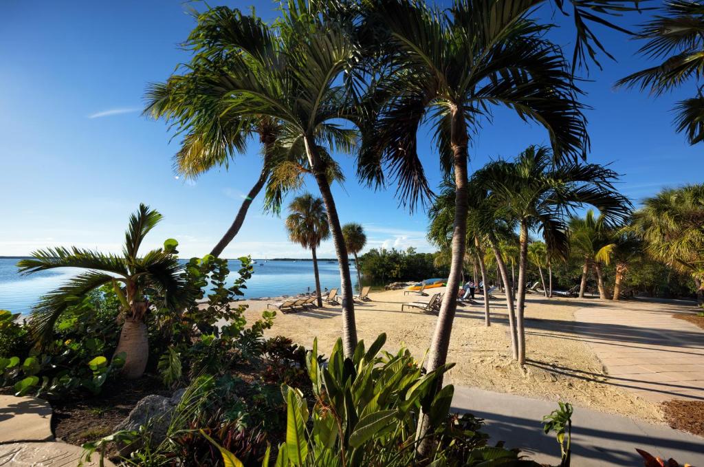 Hampton Inn Key Largo - main image