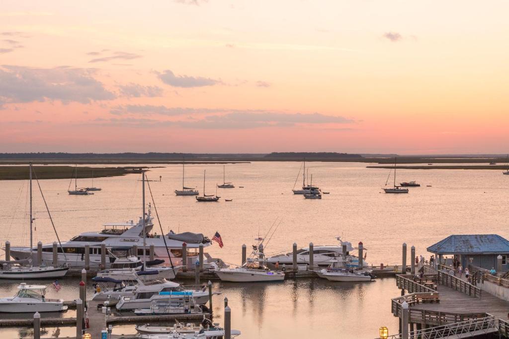 Hampton Inn & Suites Amelia Island - image 4