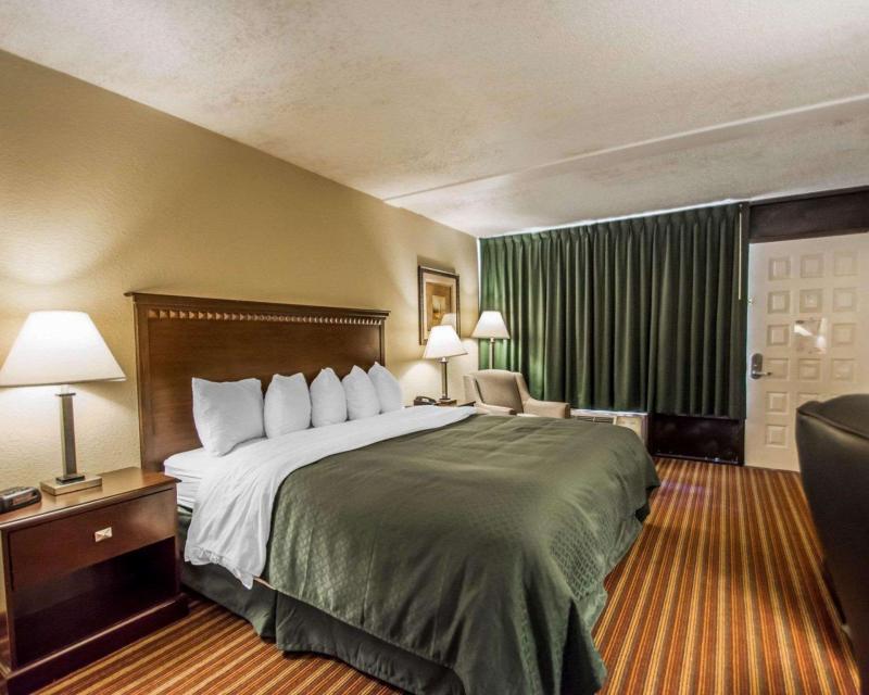 Quality Inn & Suites At Tropicana Field - image 5