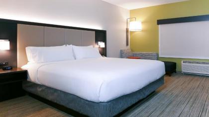 Holiday Inn Express & Suites - Tampa East - Ybor City an IHG Hotel - image 3