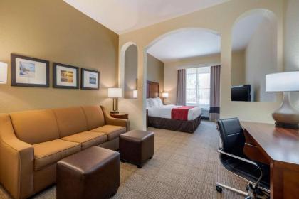 Comfort Inn & Suites Northeast - Gateway - image 2