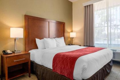 Comfort Inn & Suites Northeast - Gateway - image 3