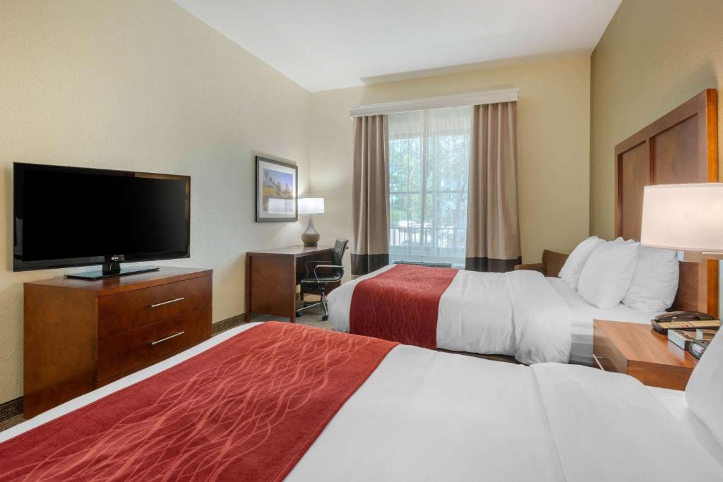 Comfort Inn & Suites Northeast - Gateway - image 5
