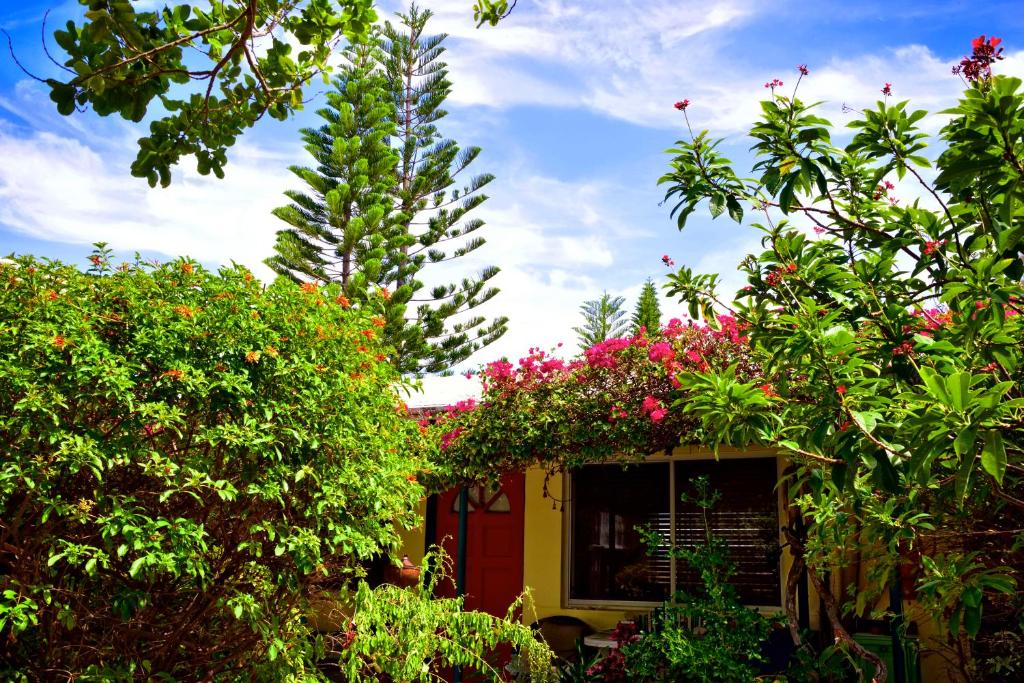 The Desoto - Oceanview Inn - main image