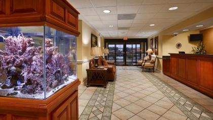 Best Western Plus Madison Inn - image 3