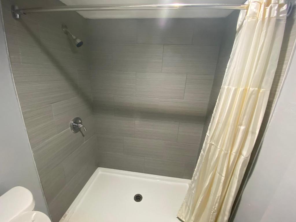 Americas Best Value Inn - Gainesville - image 2