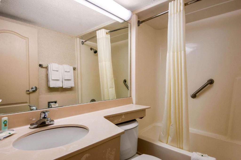 Quality Inn & Suites Tarpon Springs South - image 2