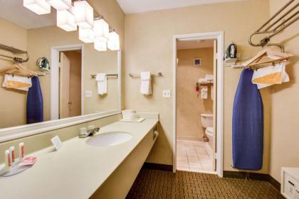 Econo Lodge Busch Gardens Tampa - image 3