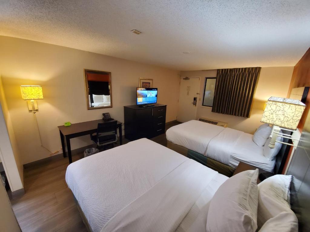 La Quinta Inn by Wyndham Tampa Near Busch Gardens - image 3