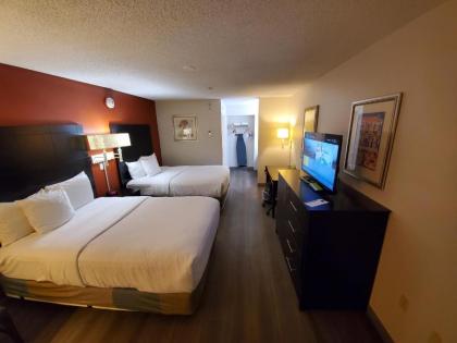 La Quinta Inn by Wyndham Tampa Near Busch Gardens - image 5