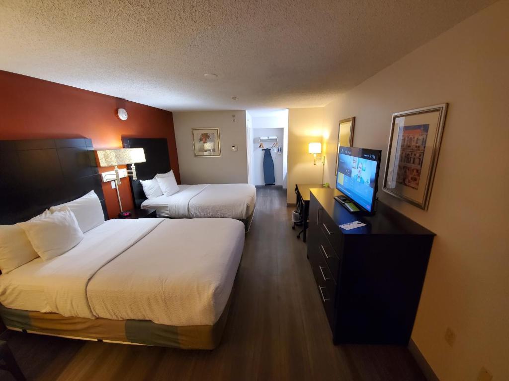 La Quinta Inn by Wyndham Tampa Near Busch Gardens - image 5