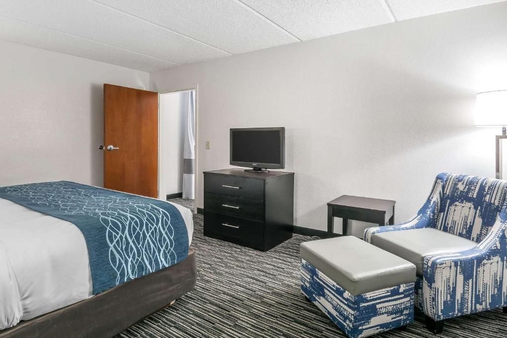 Comfort Inn University Gainesville - image 4