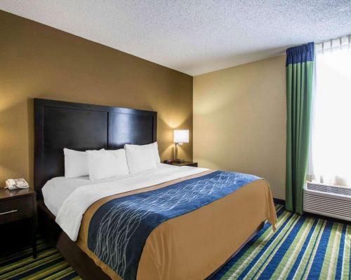 Comfort Inn & Suites Lantana - West Palm Beach South - image 5