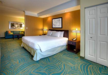 SpringHill Suites by Marriott - Tampa Brandon - image 3