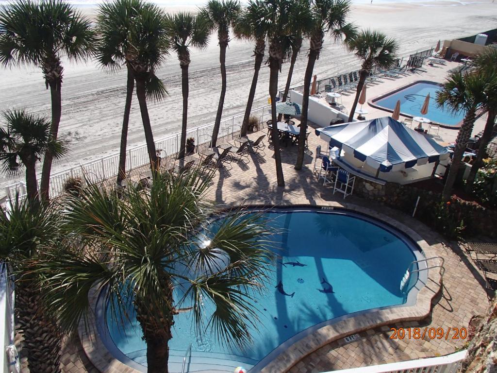 Flamingo Inn Beachfront - Daytona Beach - image 3