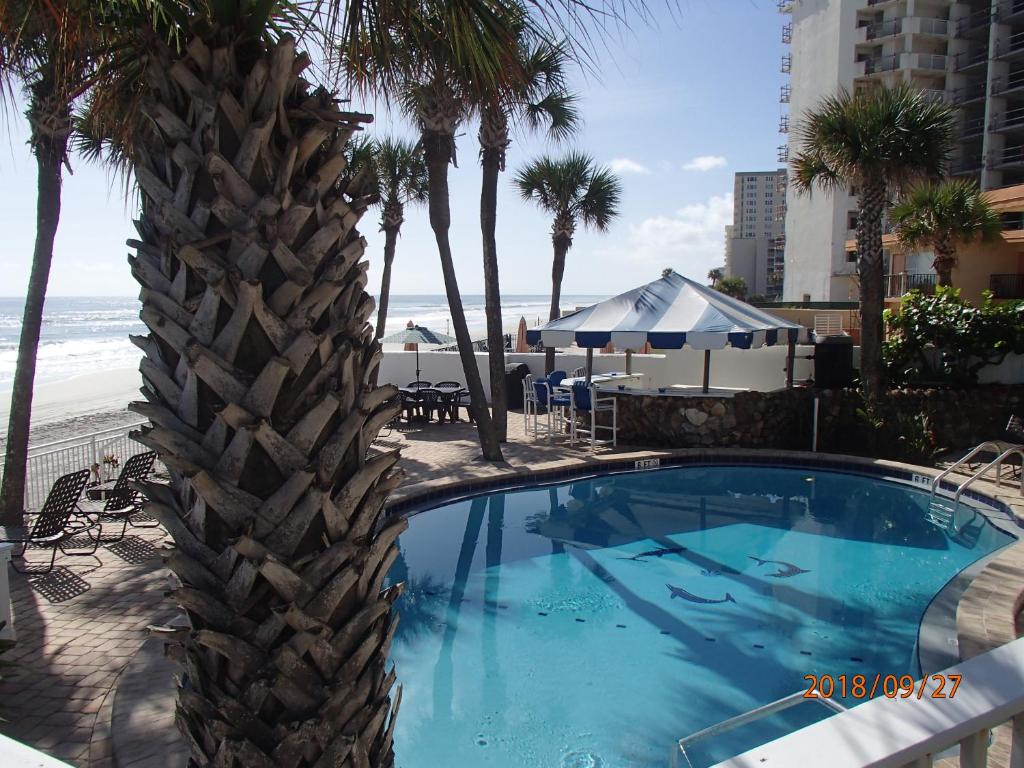 Flamingo Inn Beachfront - Daytona Beach - image 4