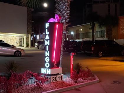 Flamingo Inn Beachfront - Daytona Beach - image 5