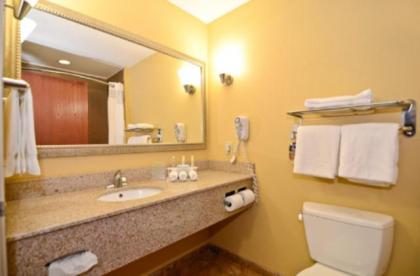 Holiday Inn Express & Suites Bonifay an IHG Hotel - image 3