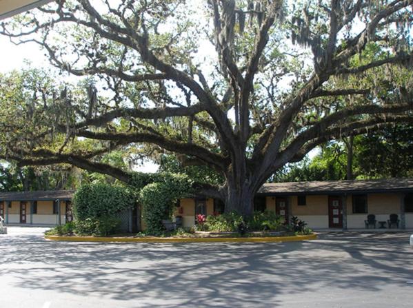 Scottish Inn - Saint Augustine - image 5