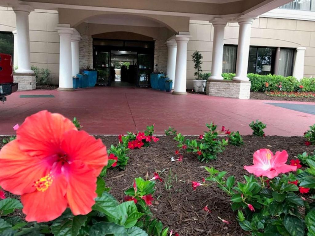 Best Western Premier Jacksonville Hotel - image 4