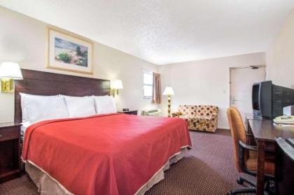 Tampa Airport Inn - image 2