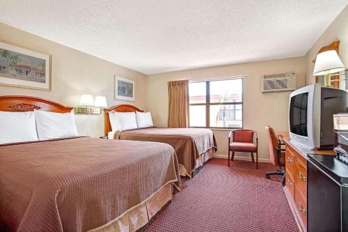 Tampa Airport Inn - image 5