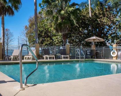 Comfort Suites Clearwater - Dunedin - image 2