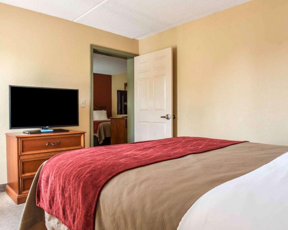 Comfort Inn & Suites Panama City - St Andrew - image 2