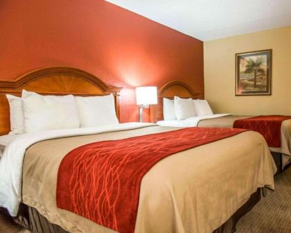 Comfort Inn & Suites Panama City - St Andrew - image 5