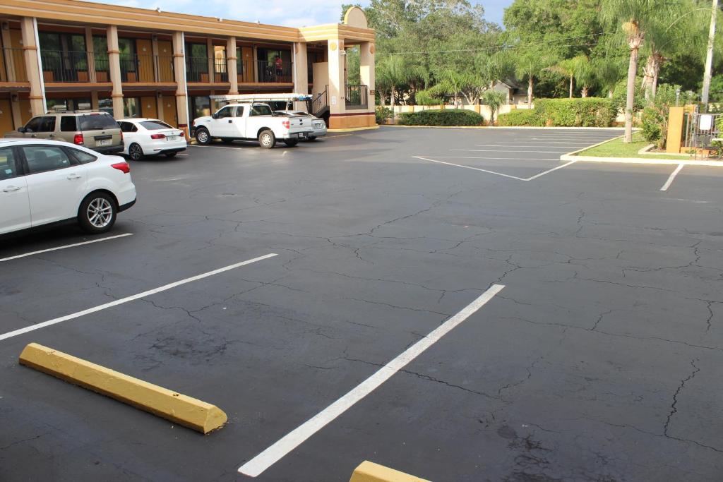 Tampa Inn Near Busch Gardens - image 3