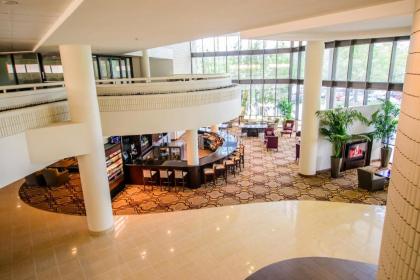 Sheraton Tampa Brandon Hotel - image 2