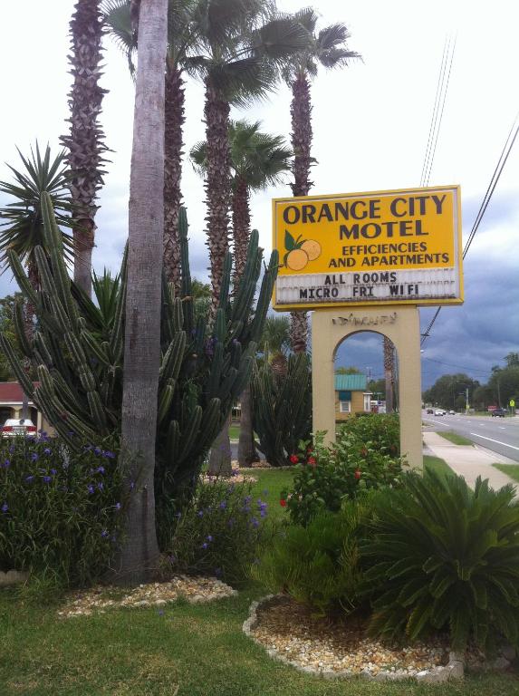 Orange City Motel - Orange City - image 4