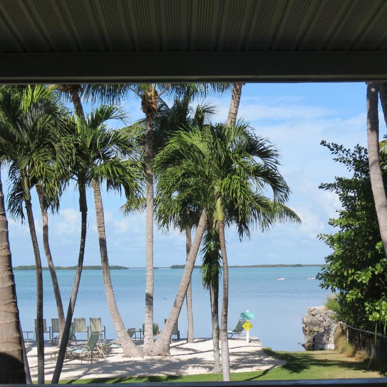 Coconut Bay Resort - Key Largo - image 2