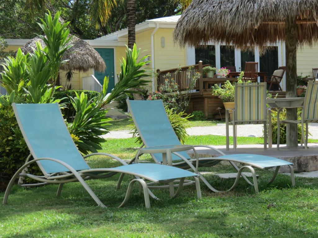 Coconut Bay Resort - Key Largo - image 5