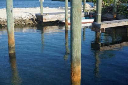 Island Hideaway - Florida Keys - image 2