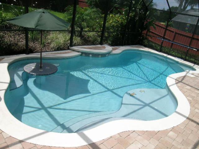 Pool Paradise - main image