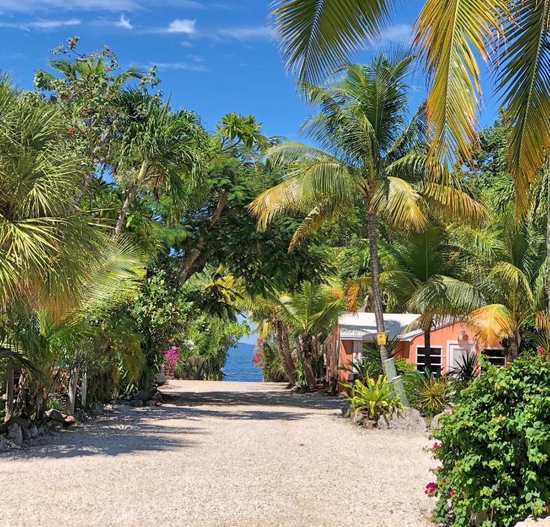 The Pelican Key Largo Cottages - main image