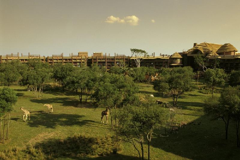 Disney's Animal Kingdom Villas - Jambo House - image 2