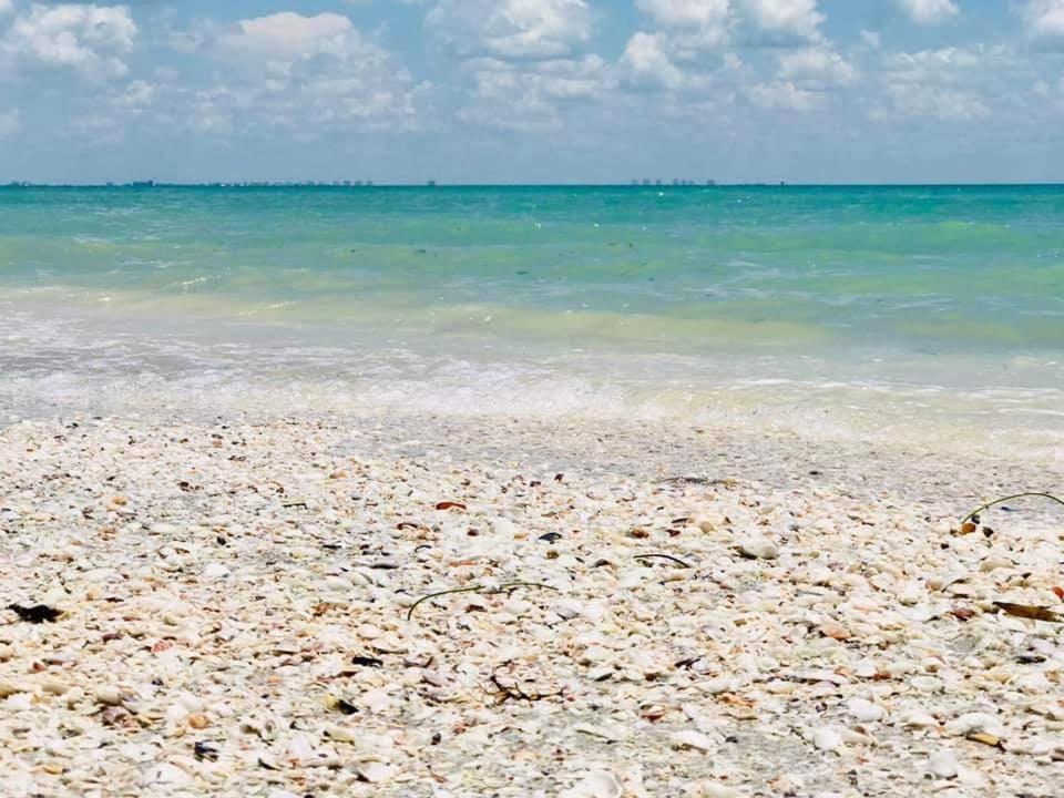 Sanibel Siesta On The Beach Unit 604 Condo - image 3